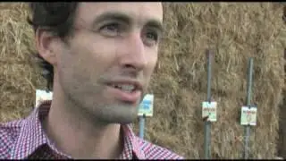 Bonnaroo Video: Andrew Bird Interview