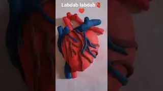 Heart model with clay🫀&hearts;️&hearts;️Labdab labdab😌&hearts;️🫀