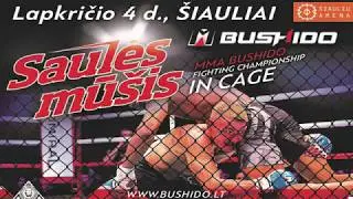 MMA BUSHIDO 2017.11.04 