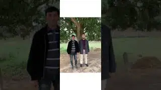 Rup sagorah jolok mariya ki rup tumi 