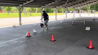 AKC Rally Excellent Course #4