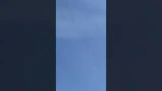 Hawk 