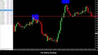 pips wizard pro - pips wizard pro review - is the pips wizard pro trading software legit ?