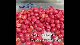 Automatic Strawberries Cherry Tomatoes Half Cutting Machine 