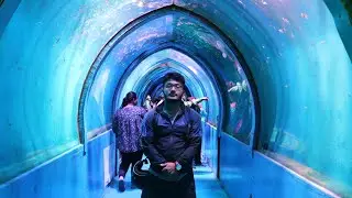 Underwater Aquarium || Jawlakhel || #underwater #aquarium #jawlakhel #foryou #gotrend
