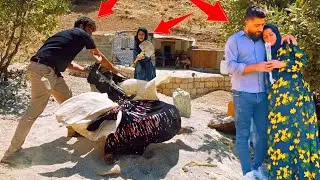 **Nomadic Resilience: Amir Defends Fatemeh Against Maliheh**