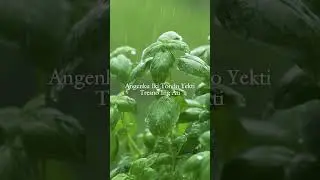 Lewat Angin Wengi #nikensalindry #lewatanginwengi #koplosenja #videolyrics #musikkoplo