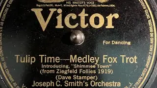 &ldquo;Tulip Time - Medley Foxtrot&rdquo; by Joseph C. Smith&rsquo;s Orchestra, recorded 1919