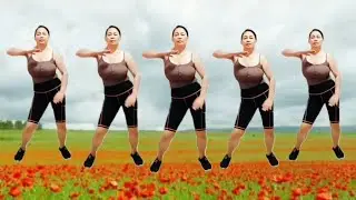 aerobics exercise, to lose weight, reduce fat, slim waist, lose belly fat/lovely dance fit