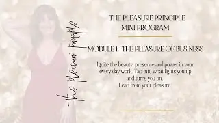 MINI PROGRAM |   THE PLEASURE PRINCIPLE MODULE ONE:  The Business of Pleasure