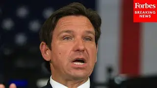 'They Really Care About An Open Border': Ron DeSantis Slams Dem Opposition To Alligator Alcatraz