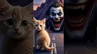 Kitten Walks Into a Joker Cave 😱🐾 | What Happens Next Will Shock You!&rdquo;#short#viralkitten #funny #cat