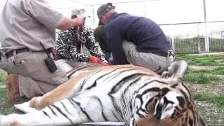 Help The USZA Rescue 31 Exotic Animals