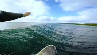 Surfing A Mini Simmons At Rocky Point
