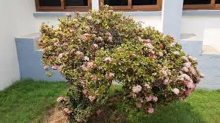 #NARL Guest house _SVU_Tirupathi _AP.