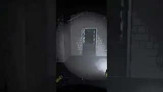 When the arachnophobia kicks in
