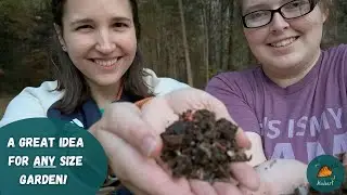 How to start a worm farm (Vermicomposting) for beginners