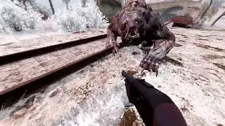 KS-23 Shotgun VS Медведица ( She-Bear) in Stalker Gamma