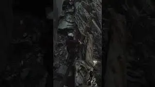 Katzenbaum f&uuml;r Klettersteig-Zweibeiner Erklimmen
