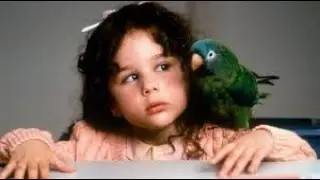 The Most Emotional Talking Parrot Movie Ever | Paulie (1998)