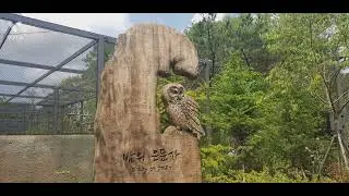 Seoul Grand Park || Zoo