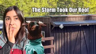 A Quiet Day at the Homestead… Until the Storm Hit