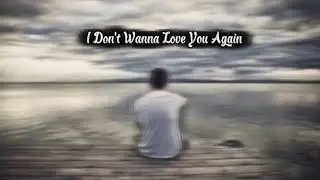 I Don't Wanna Love You Again - Black Gangsta In The House 