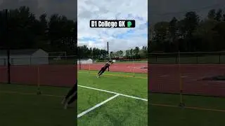 Division 1 College GK 🧤 #goalkeeper #goalkeepertraining #gktraining #soccer #soccershorts