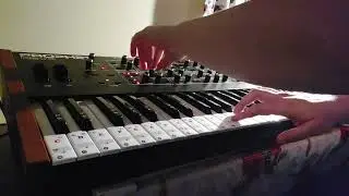SEQUENTIAL Prophet Rev2 16 keyboard - cz.7 - Własne brzmienia - prezentacja samych brzmień