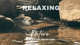 Close Your Eyes & Listen  | Pure Water Sounds for Deep Relaxation