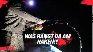 Vertikalangeln für Einsteiger! Fangen sie ihren ersten Wels?!