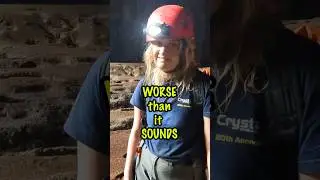 Worst Experience in Bat Poop #travel #batpoop #bats #caveexploration #travelstories worstexperience