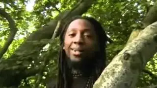 Paradox - The Matrix - Poem
