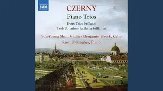 Trio brillant in C Major for Violin, Cello & Piano, Op. 211 No. 1: I. Allegro con brio