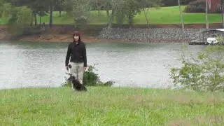 Puppy Training, Kona, Boykin Spaniel, Day 11: Off Leash Recall at Lake Lanier