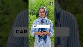 Start your texi business in azerbaijan || Real Mentor Pakistan