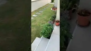 HOW!!!!!! #moon #wtfmoment #&Ccedil;eşme #HOLYSHOOT #AugustMoment #meme #funny #short