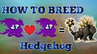 How To Breed Hedgehog Dragon || Dragon City