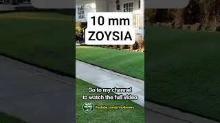 Зойсия 1 см! Как она выглядит?! #modmows #lawnmower #lawncare