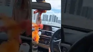 BmW 💞car 🏎 lover status video 🌈🖤...