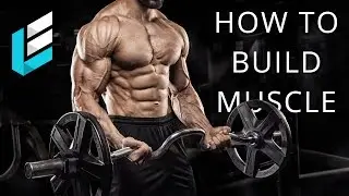 TOP 5 Tips For Building Muscle | How to Build Muscle | Lifting Explained