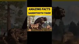 लाखो साल पहले का सबसे ताकतवर और खतरनाक शेर। SaberTooth Tiger ! #shorts #Smilodon Amazing facts