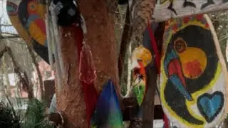 Будни отшельника  в прямом эфире!