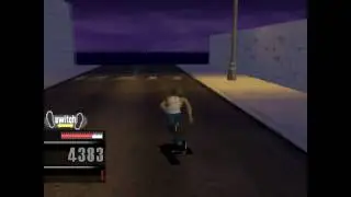Thrasher Skate And Destroy