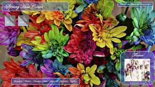Flower / Hanadokei / Spring Has Come  (Audio)