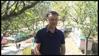 Med ko lek - Dru&scaron;tvo pčelara Baljevac