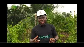 PALMRICH UPDATE VIDEO EPE, LAGOS - JULY 2024.