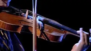 Christmas Celtic Sojourn: Winifred Horan - A Daisy in December | WGBH Music
