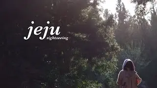 namjooning at jeju [sanbangsan, jusangjeolli cliffs, jeongbang falls, saryeoni forest, hallasan]