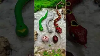 3 Remote Control Alg Snake green red Ki Video🔥